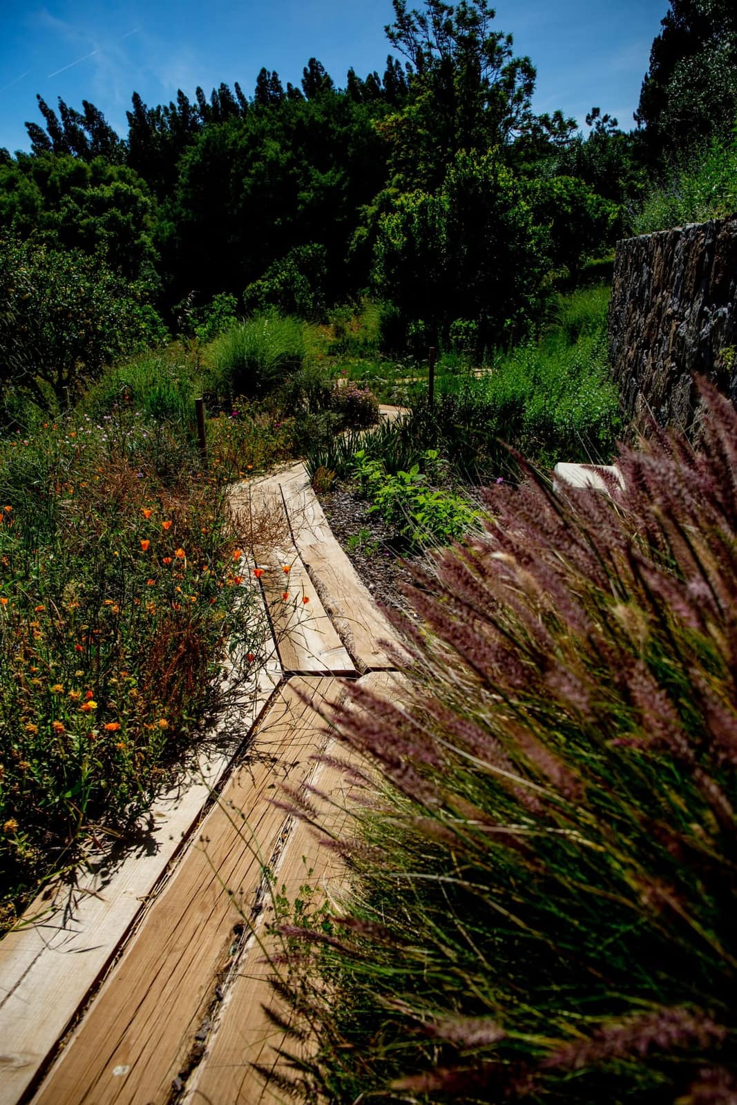 Jardim Marmelete — 2