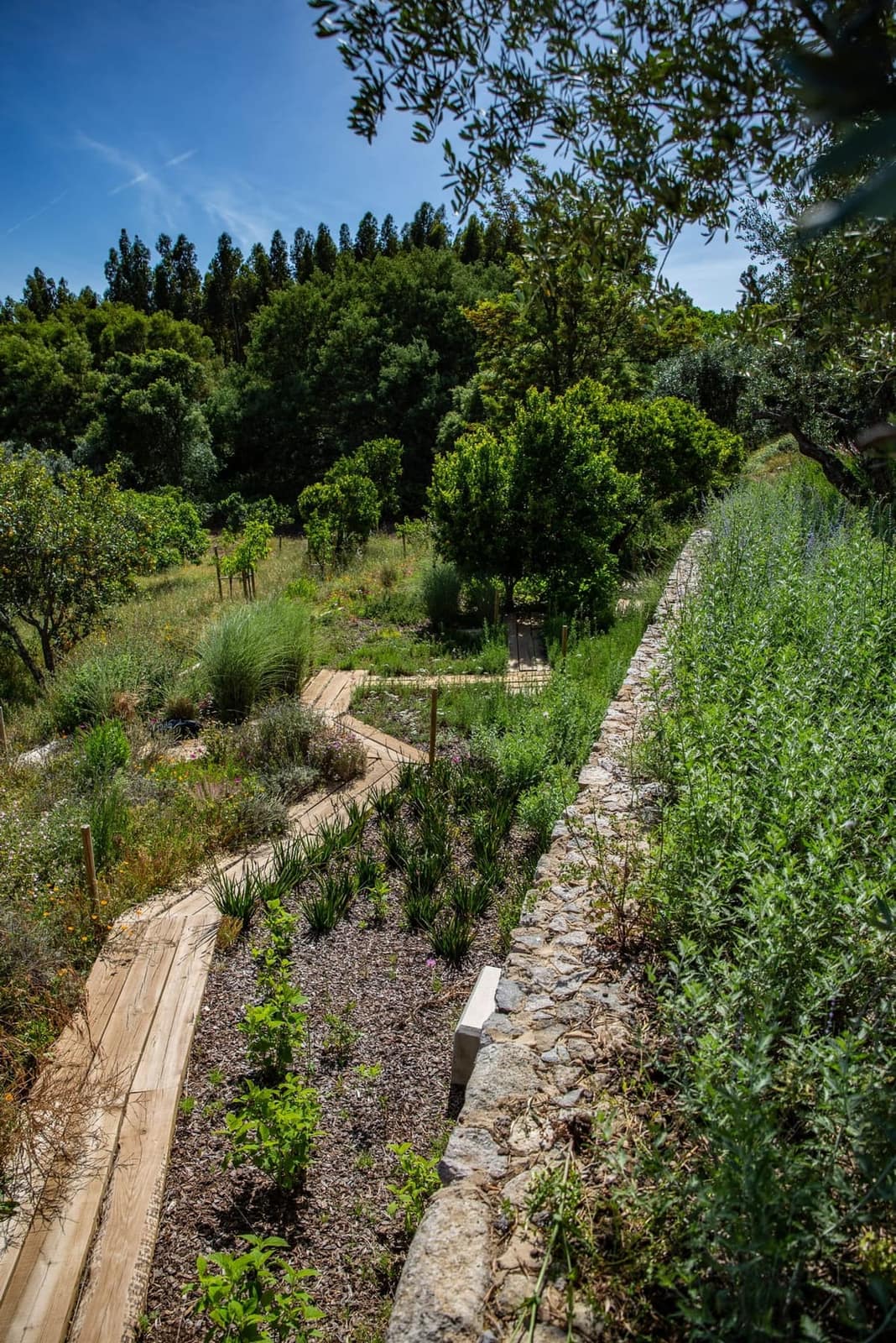 Jardim Marmelete — 4