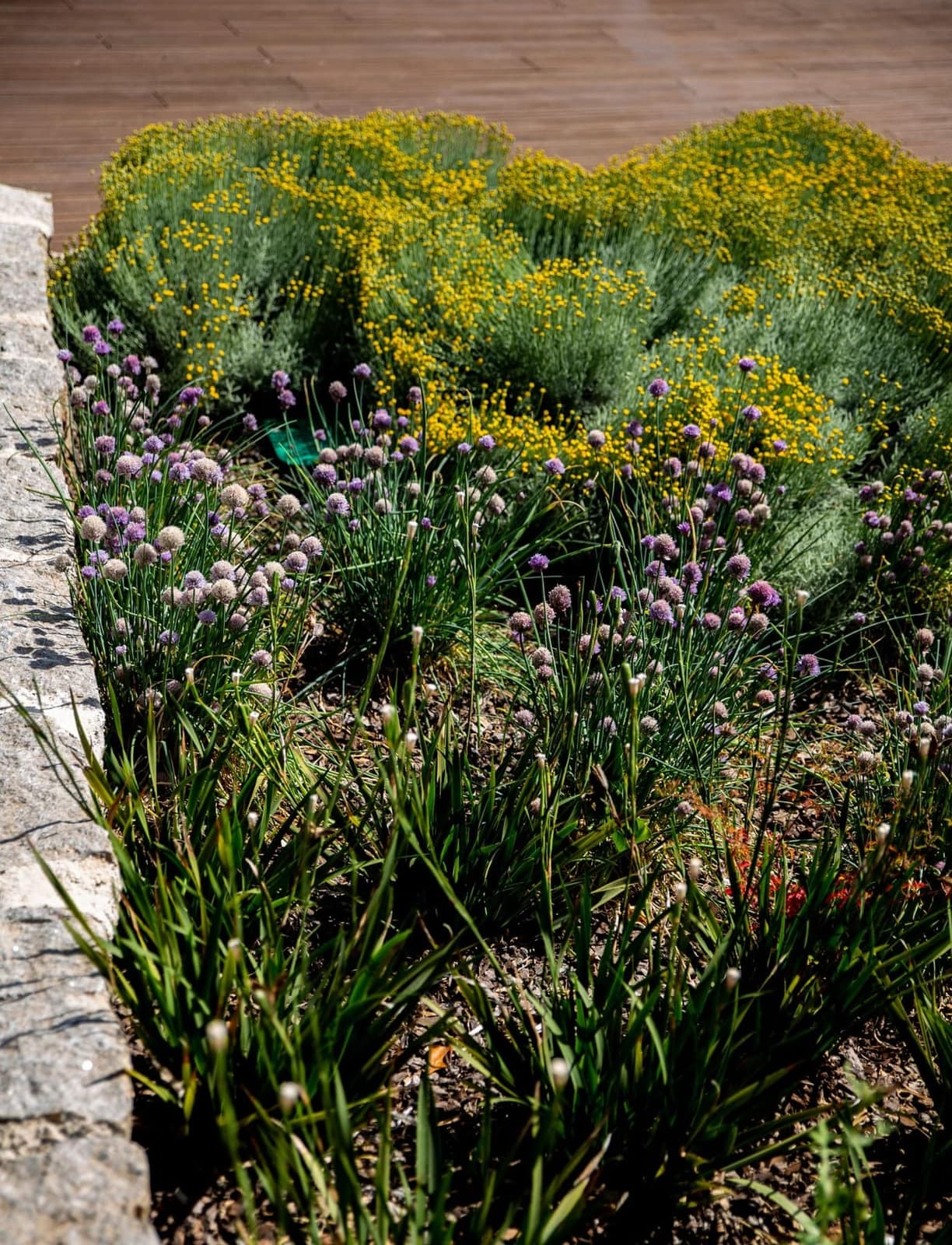 Jardim Marmelete — 6