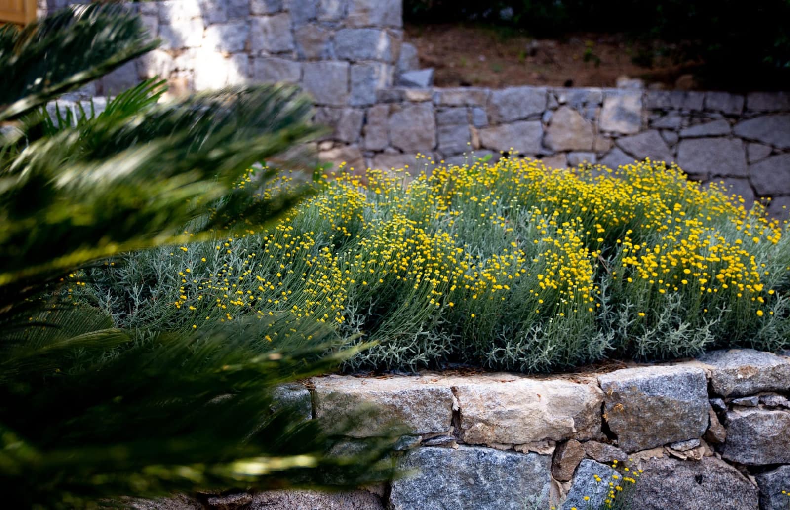 Jardim Marmelete — 10