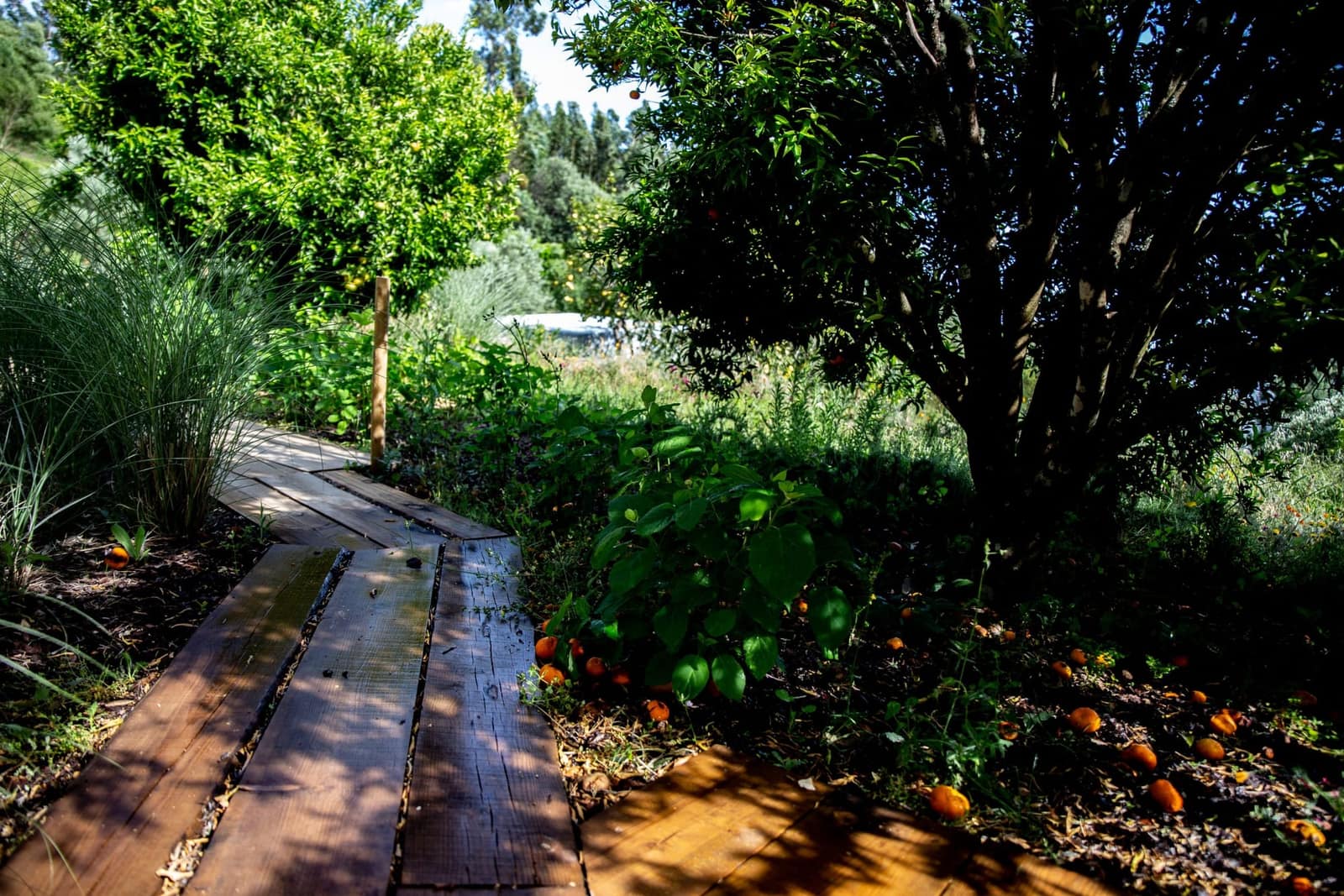 Jardim Marmelete — 15