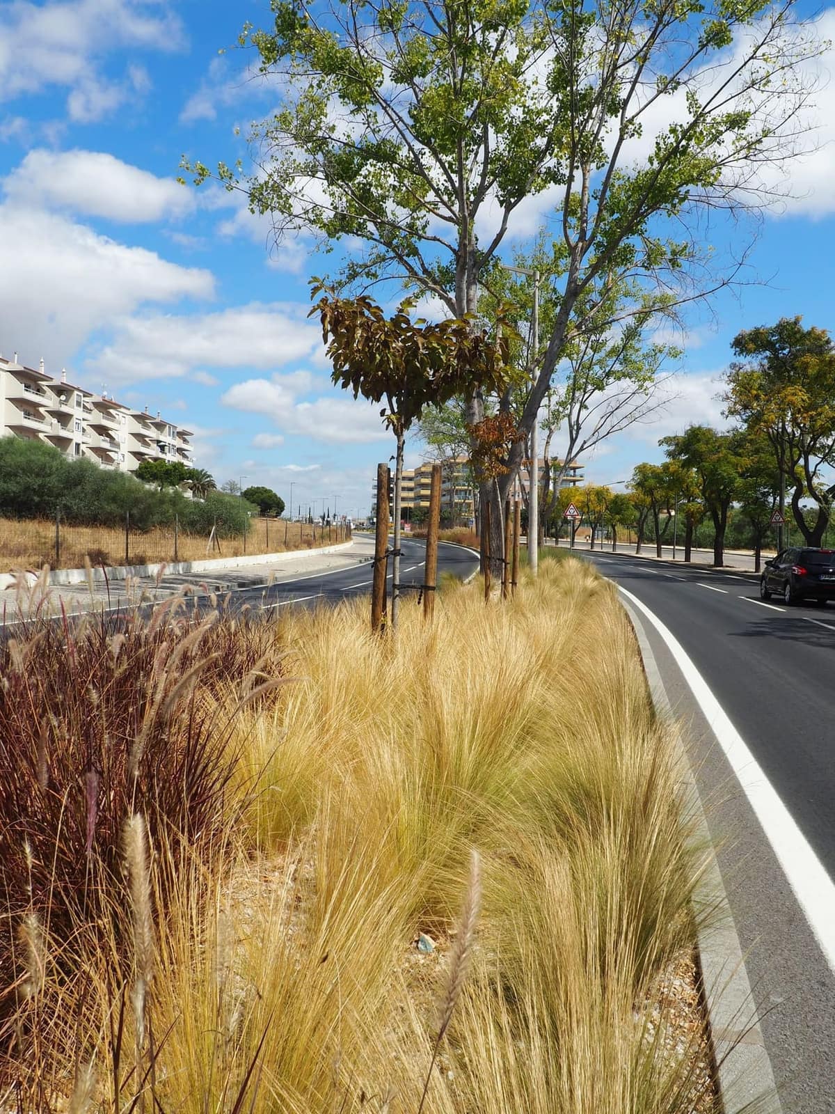 Sá Carneiro Avenue - Quarteira — 5