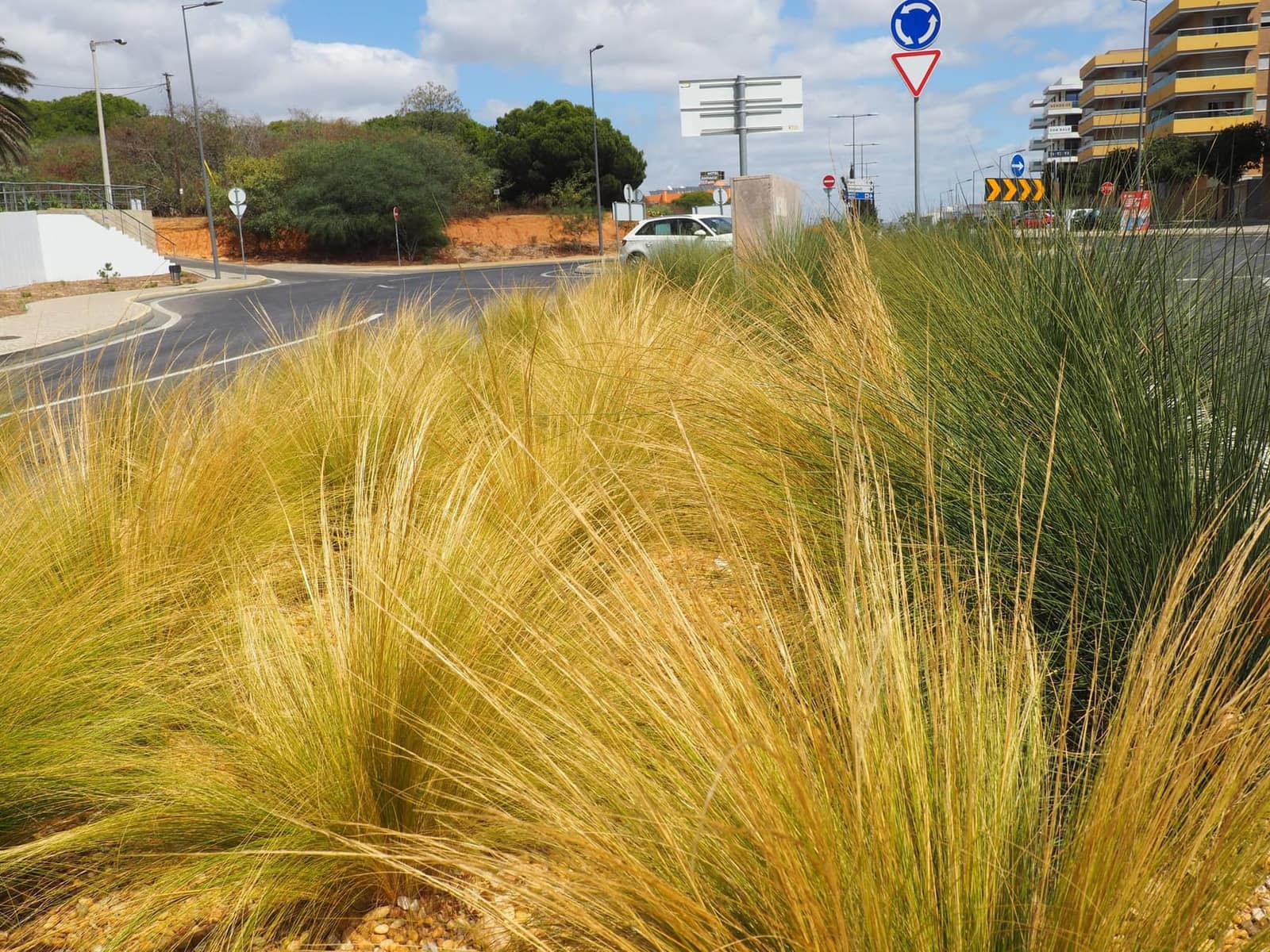 Sá Carneiro Avenue - Quarteira — 8