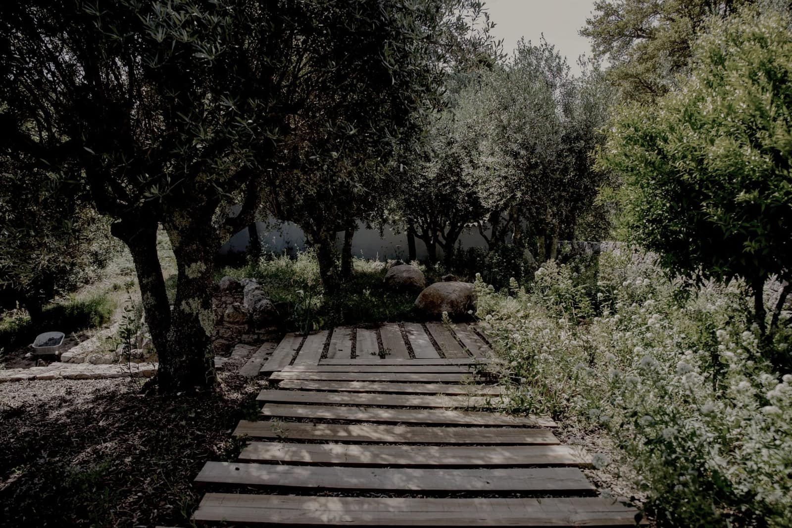 Arquitetura paisagista no Algarve — ALA, Algarve Landscape Architects