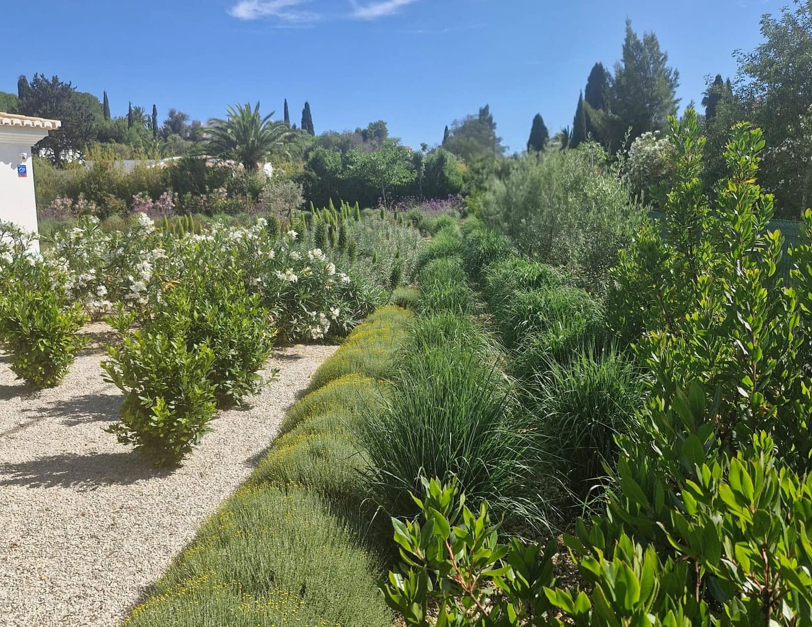 A importância de acompanhar a manutenção dos jardins