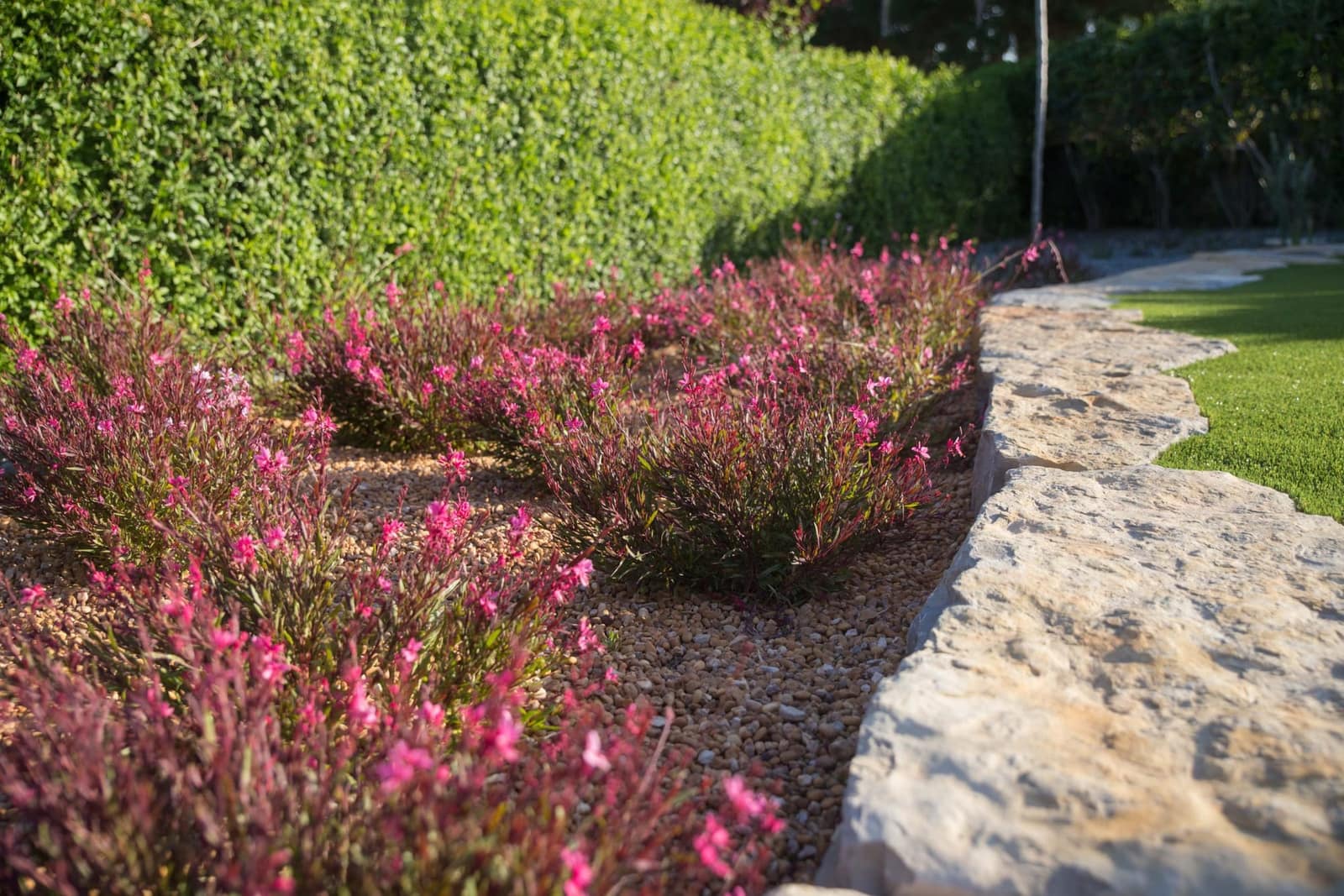 Como Criar um Jardim Sustentável no Algarve
