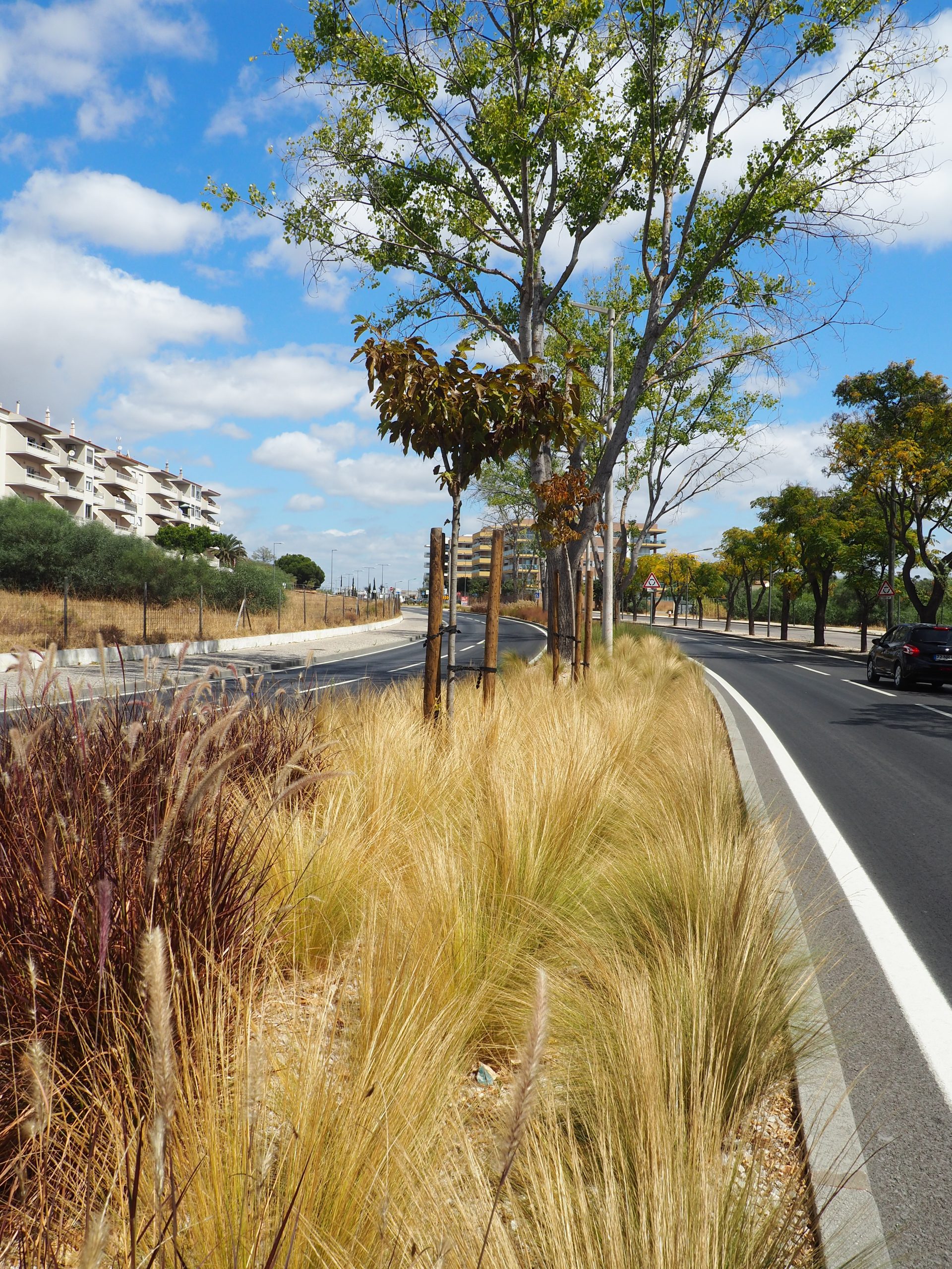 Avenida Sá Carneiro - Quarteira