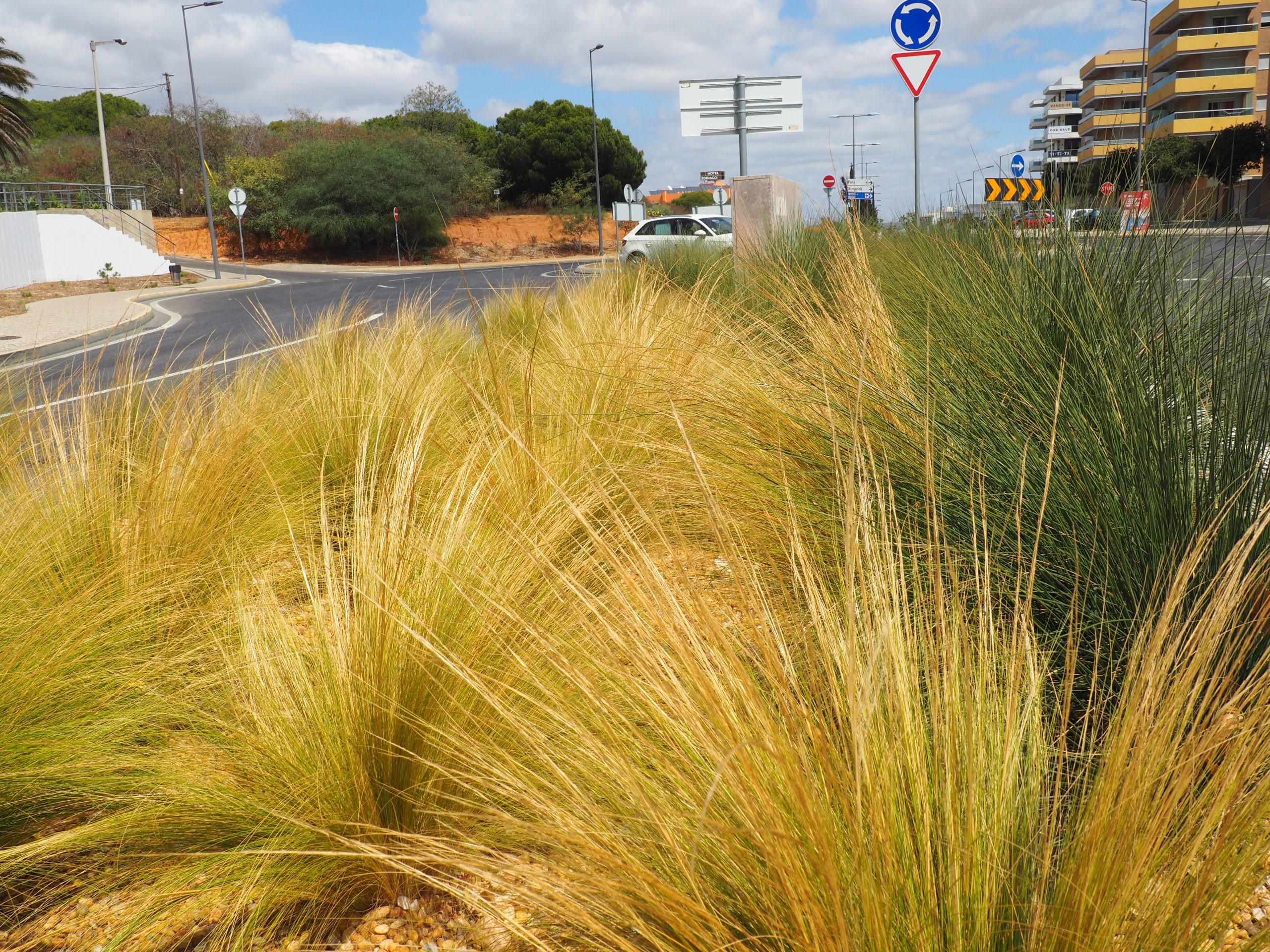 Avenida Sá Carneiro - Quarteira